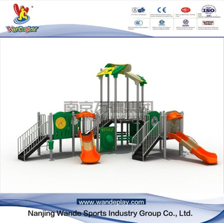 Outdoor Modern Playground for Children with Ladder
