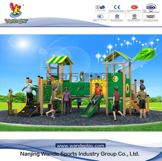 PE Playset Outdoor Playground Equipment for Children