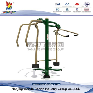 Pull Down &Power Push Outdoor Handicapped Fitness Equipment Gym