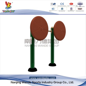Outdoor Tai Chi Wheel Handicapped Fitness Equipment Gym