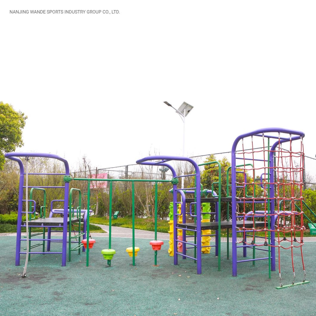 Wandeplay Theme Park Amusement Park Children Outdoor Playground Equipment with Beautiful Design Wd-Dz073