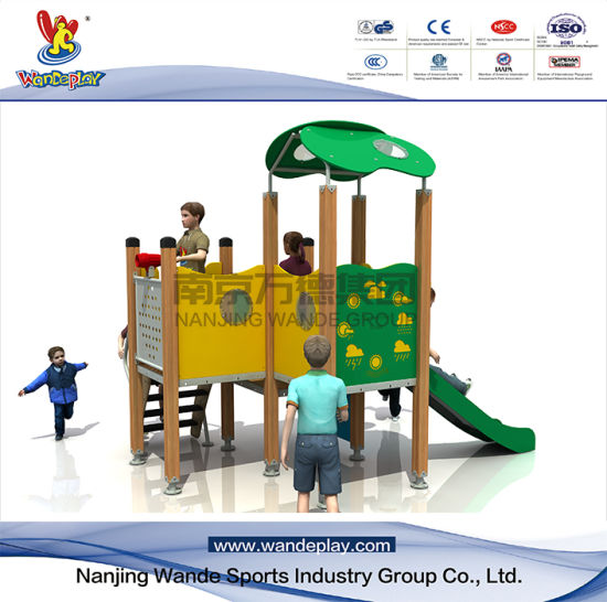 PE Playset Outdoor Playground Equipment for Kids