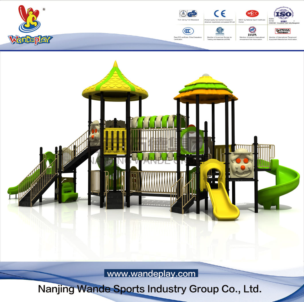 Wandeplay TUV Standard Amusement Park Children Outdoor Playground Equipment with Wd-Wn250